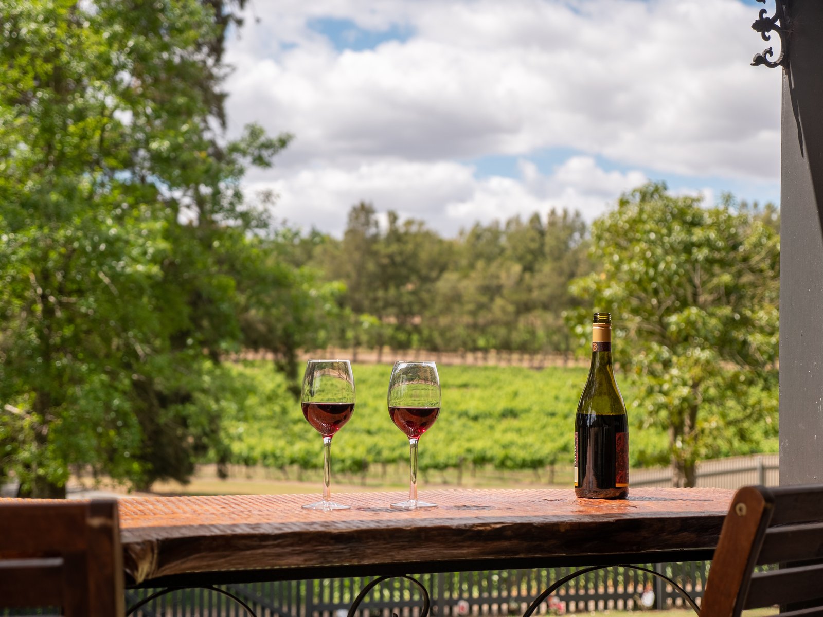 Vineyard Landscape
